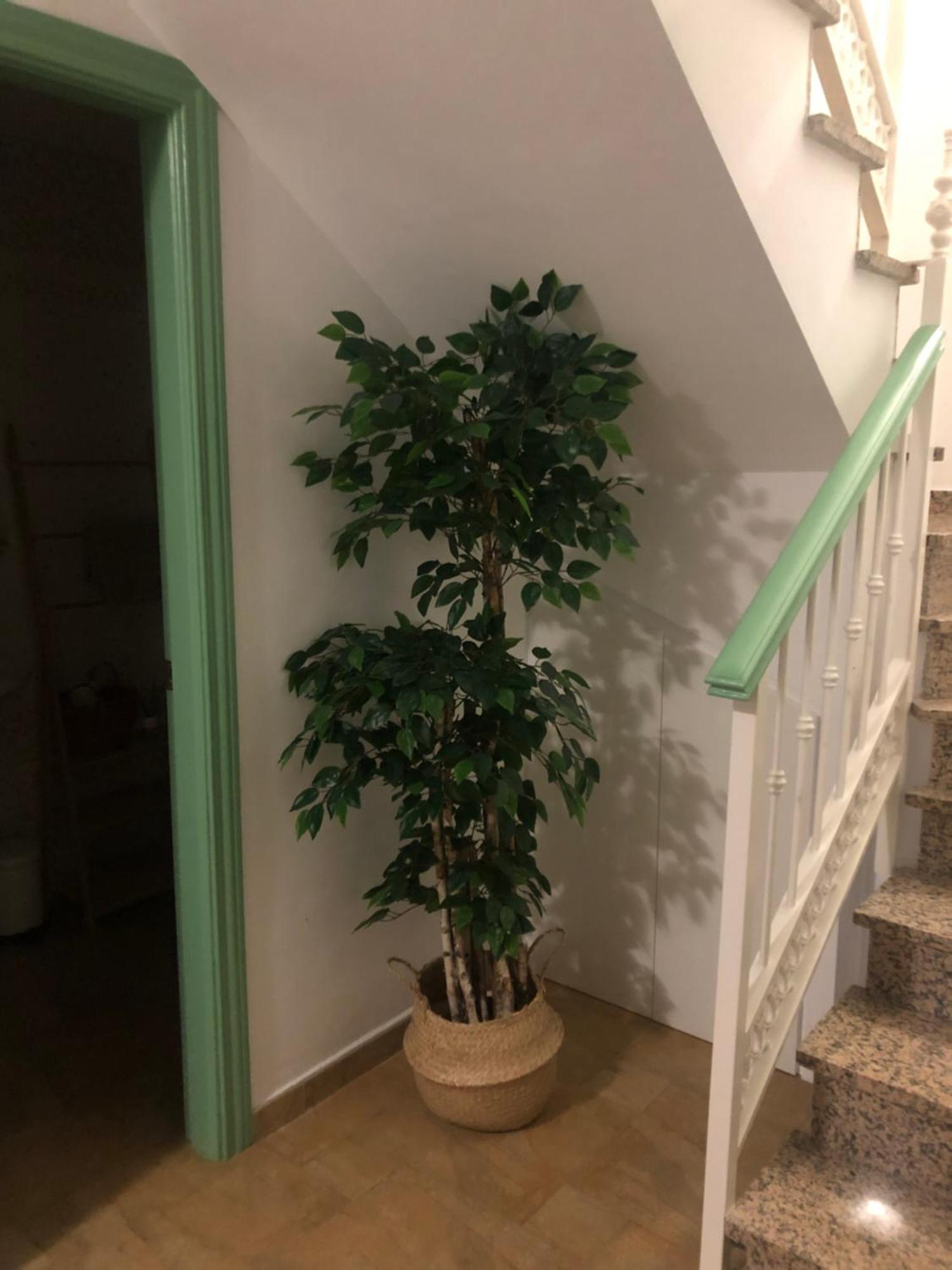 Duplex Penthouse "Playa Y Palmeras" 贝纳尔马德纳 外观 照片